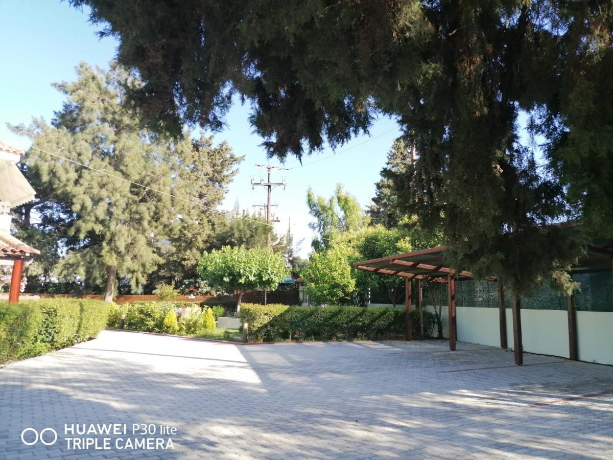 Green Apartments Faliraki Dış mekan fotoğraf